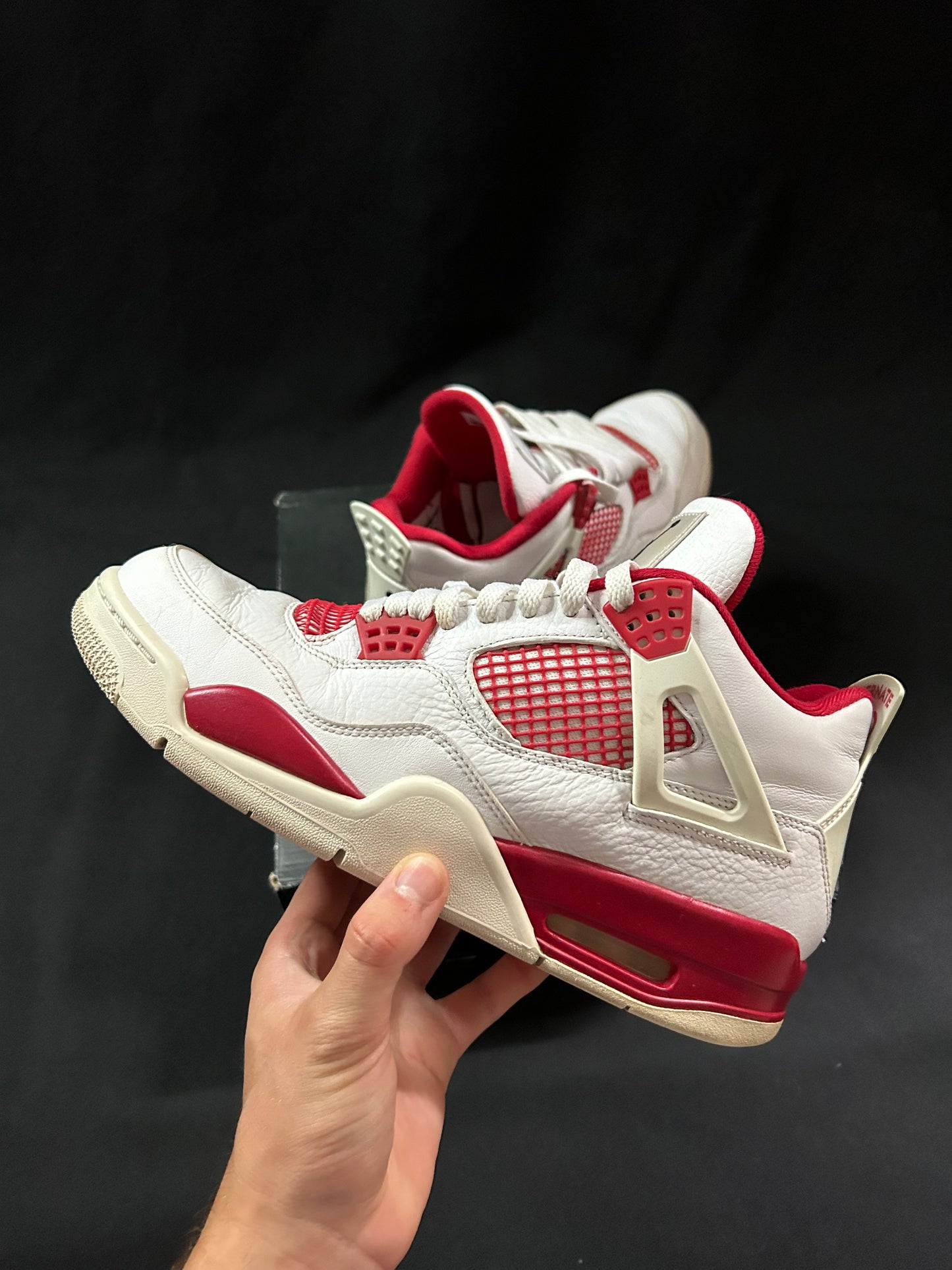 Jordan 4 Alternate 89