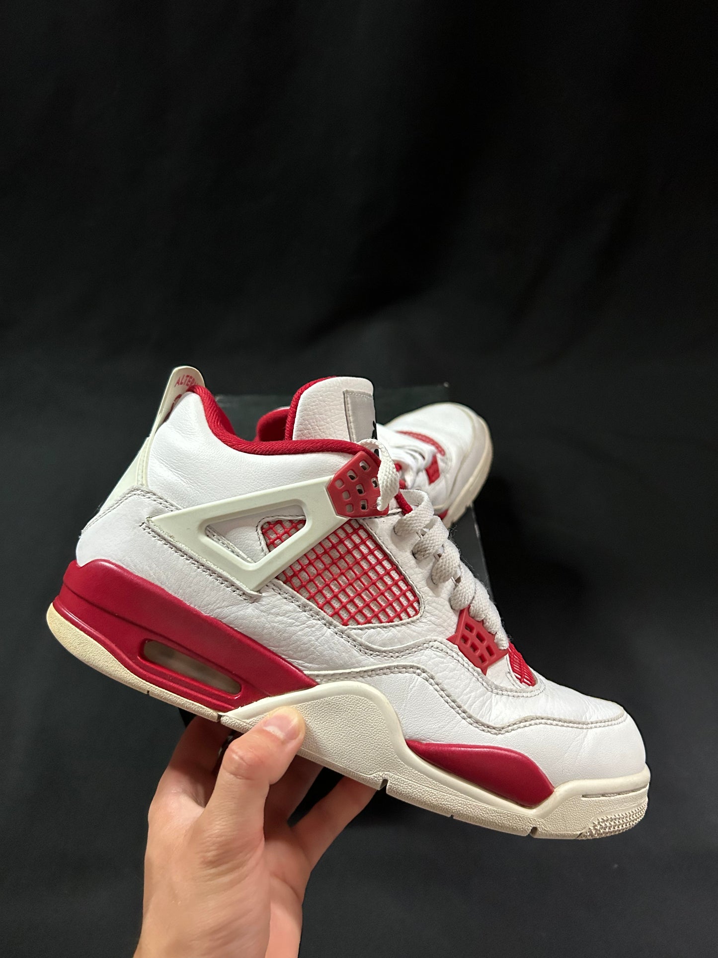 Jordan 4 Alternate 89